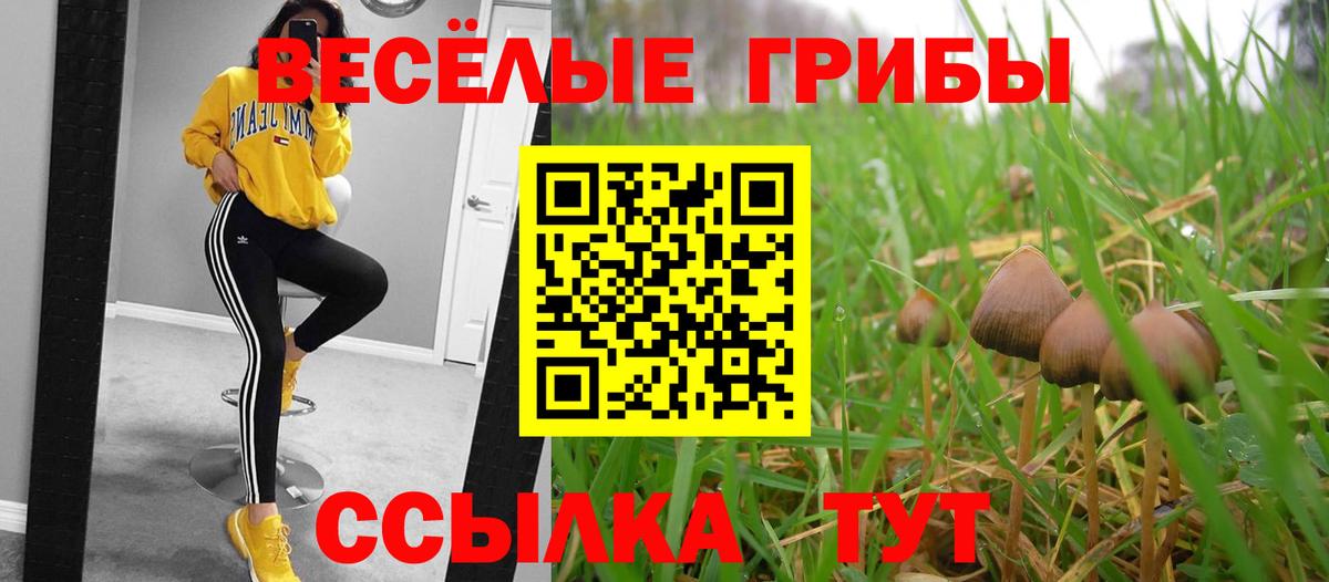 Керчь  Псилоцибиновые грибы GOLDEN TEACHER  Вход с VPN 