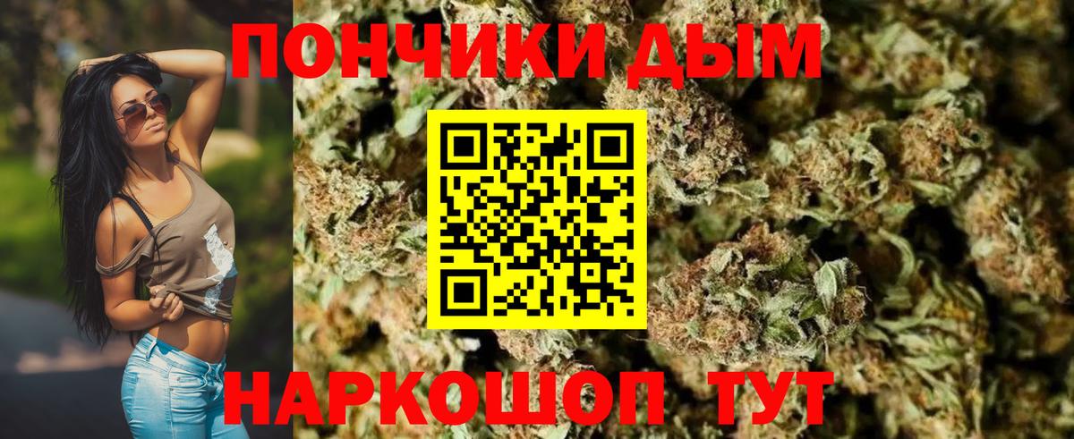 Каннабис план Керчь